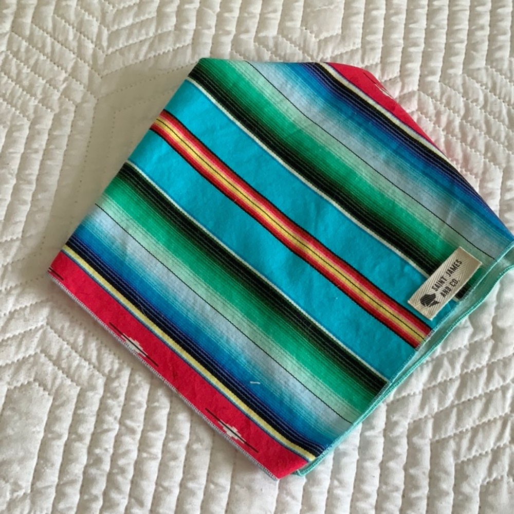 Colorful Striped Bandana